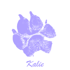Digital paw print, from a smartphone photo of an ink print